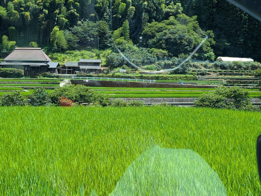 棚田の風景